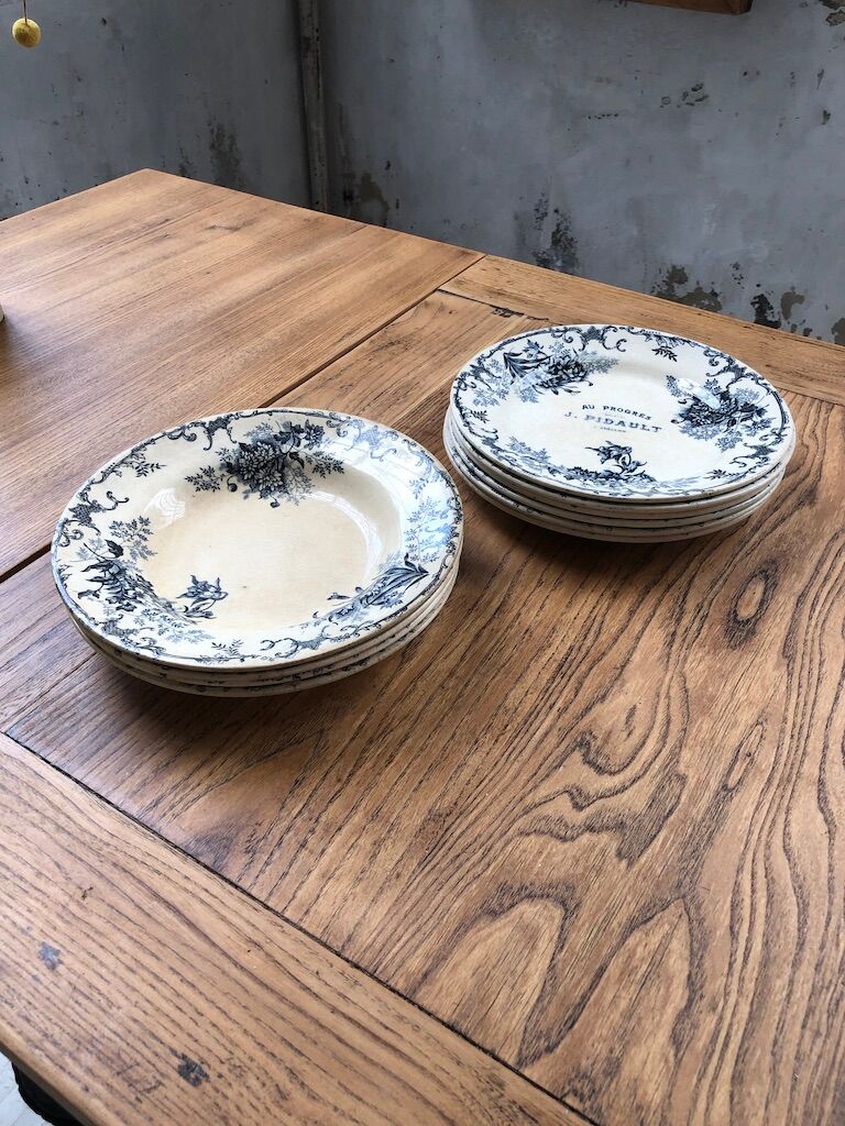 10 plates Terre de Fer Floreal Boulenger