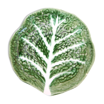 Plate of Portugal cabbage leaf in green slurry