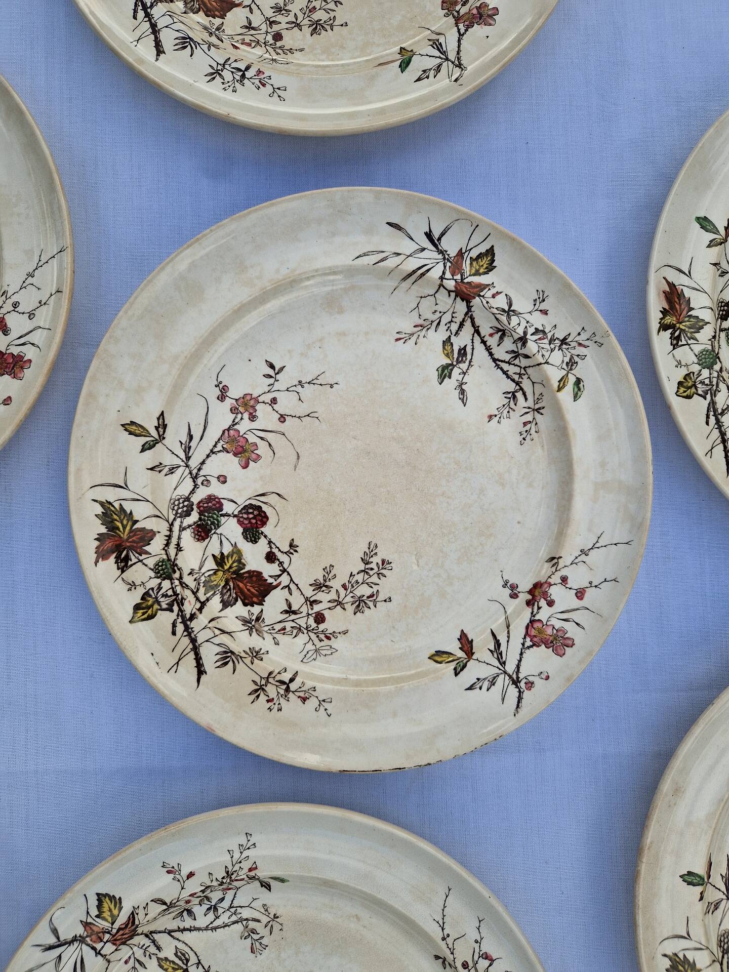 Set of 12 Terre De Fer Plates Manufacture Moore & Co Model Como