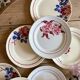 Set of 10 mismatched antique dinner plates
