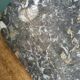 Marble trinket tray with ammonite fossil