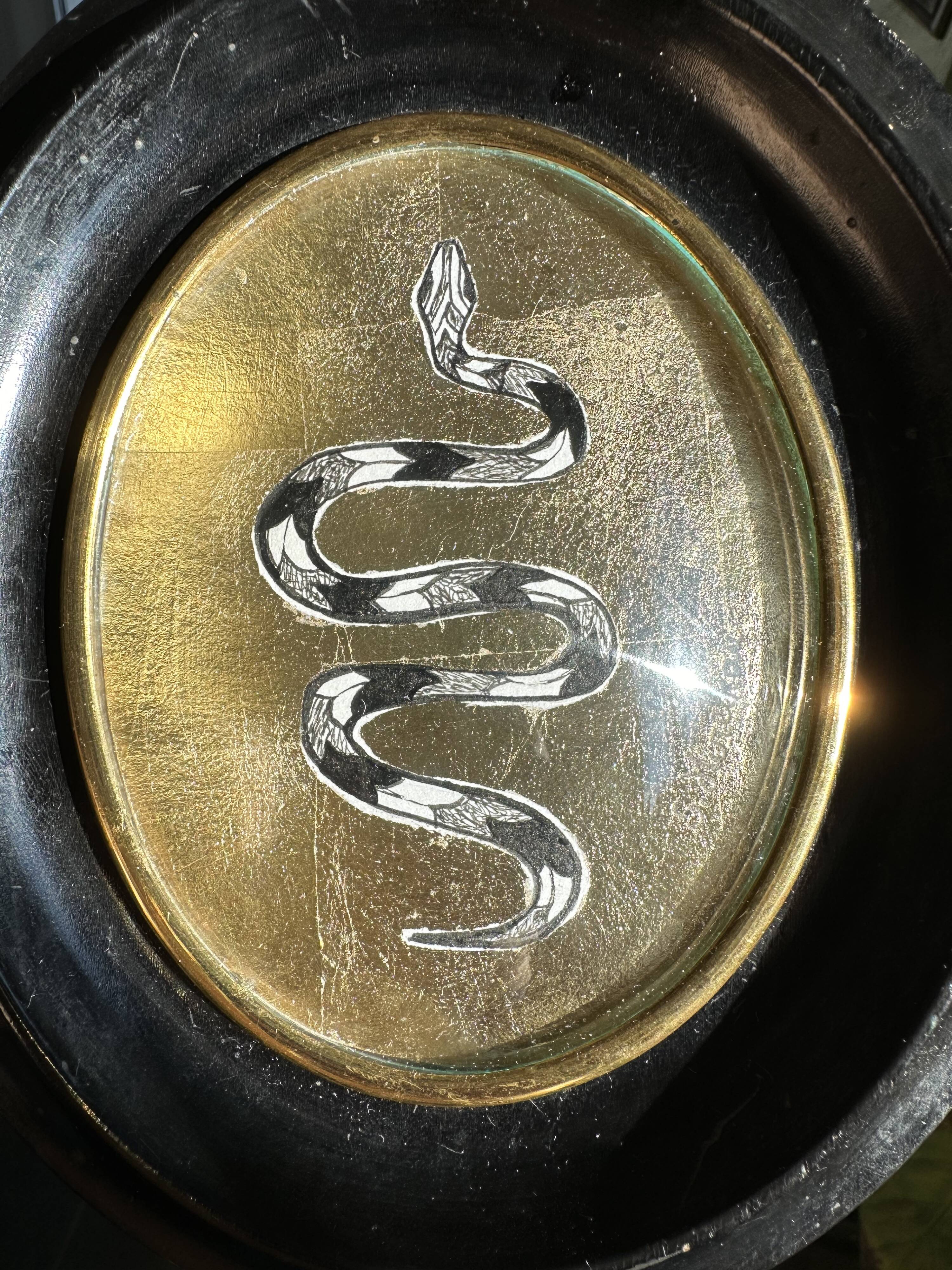 Curved glass snake frame