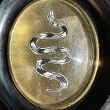 Curved glass snake frame