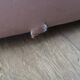 Pair of pink skai armchairs