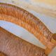 Dordogne chair for Sentou