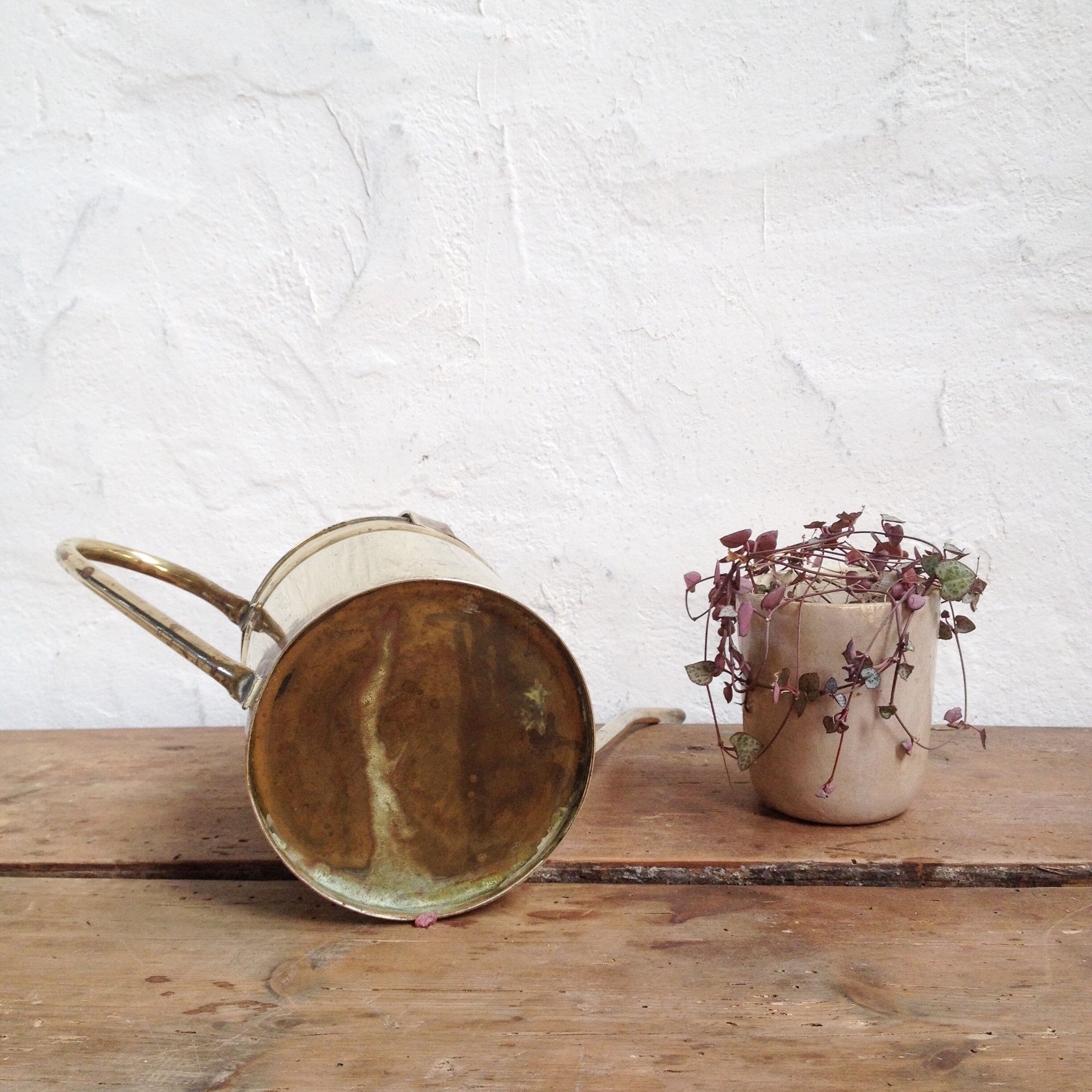 Brass watering cans