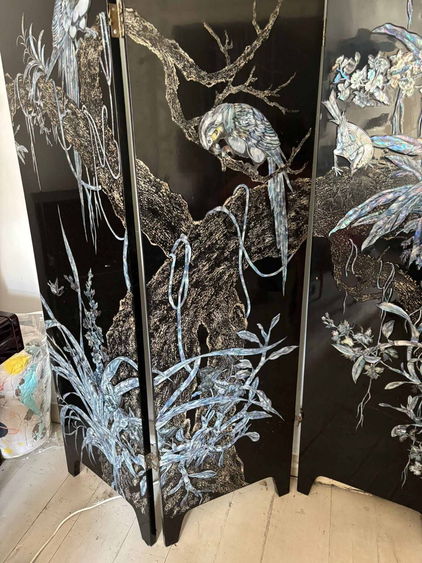 Asian screen (Vietnam - China)