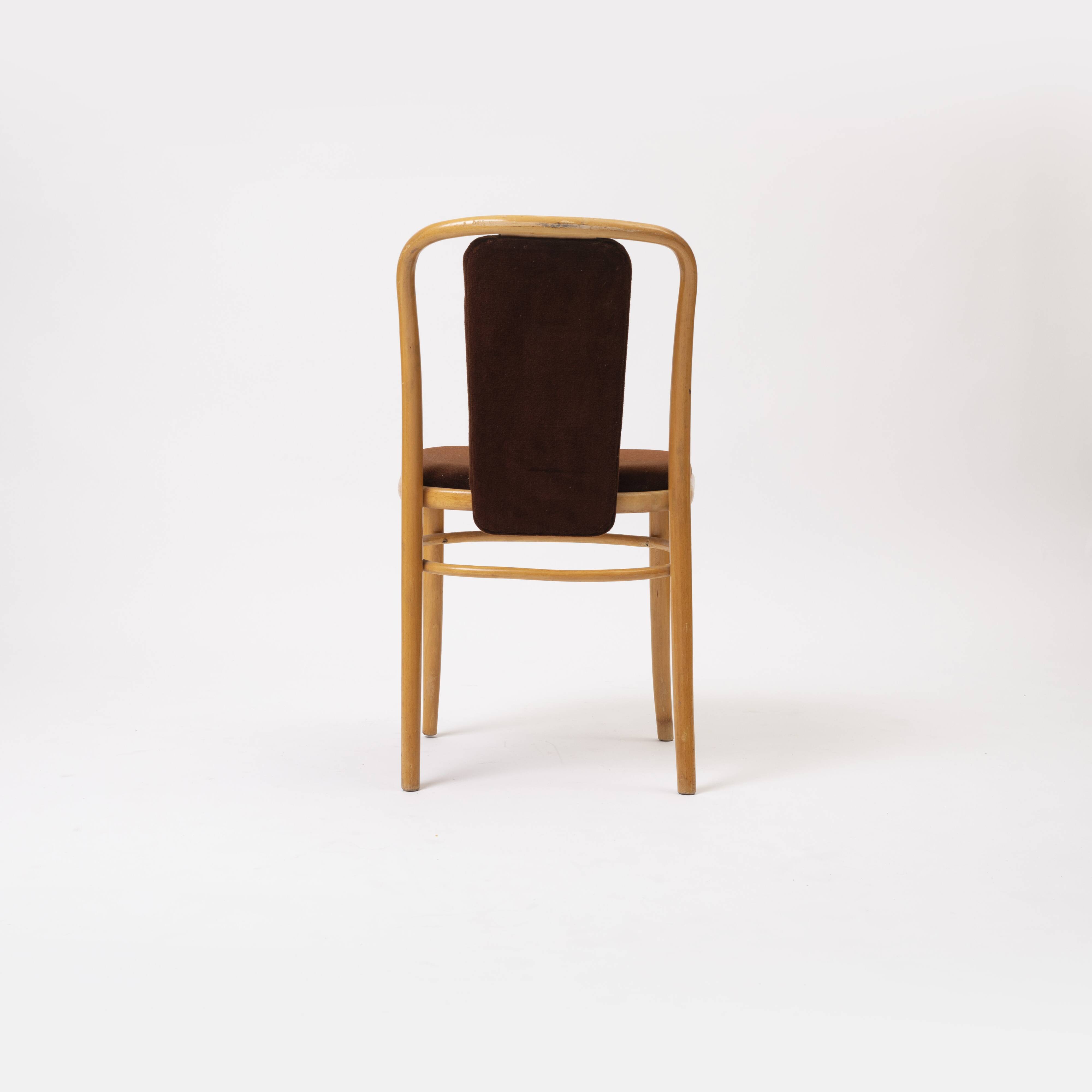 Bentwood chair in brown velvet by TON