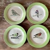 4 assiettes à dessert oiseaux