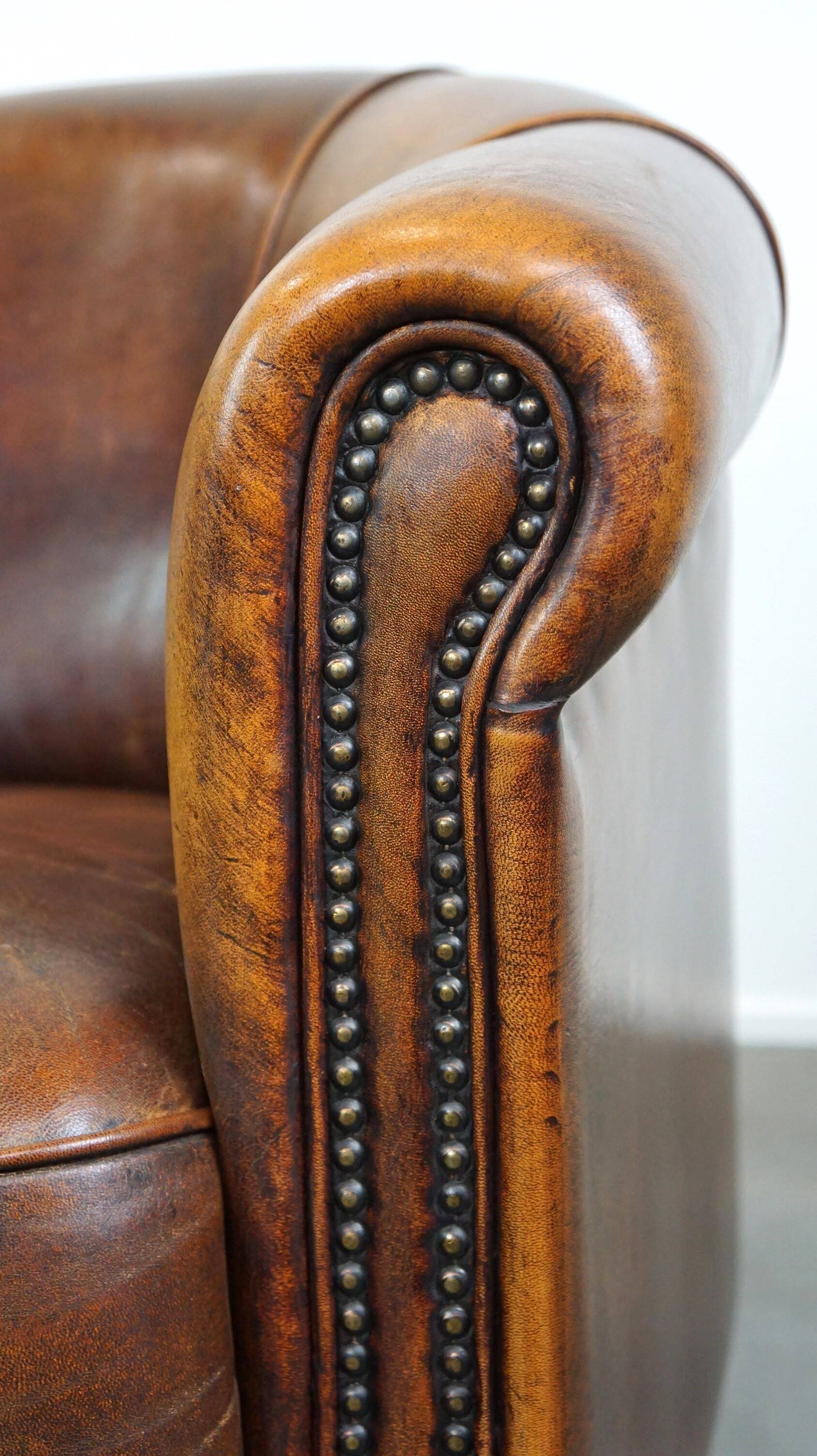 Charming, classy, and comfortable sheepskin leather club armchair