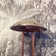 Mushroom lamp Lumess