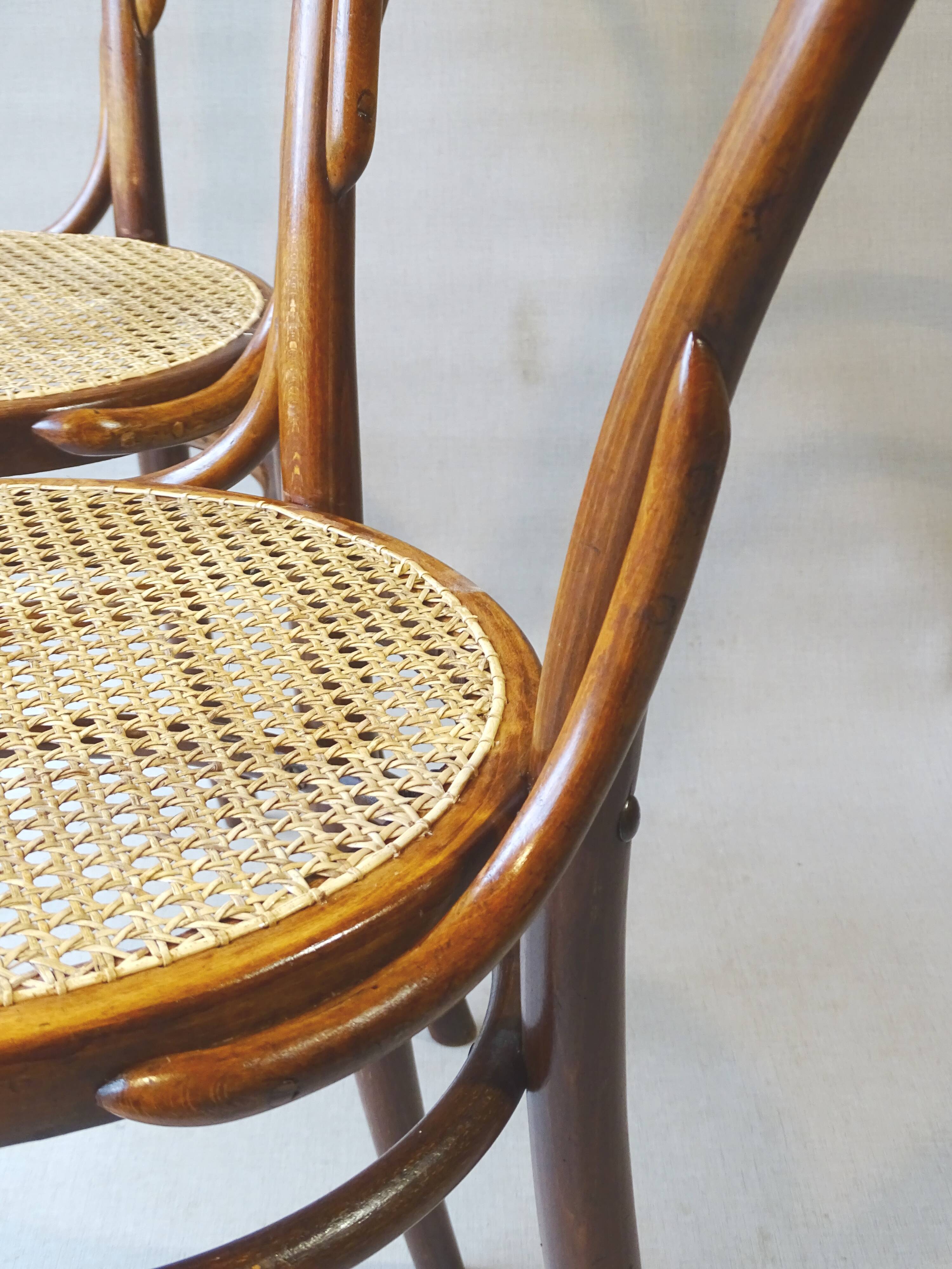 Two chairs turpe n°14 bistrot 1900 cans