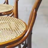 Two chairs turpe n°14 bistrot 1900 cans