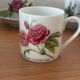 6 cups 5 saucers floral porcelain Hutschenreuther