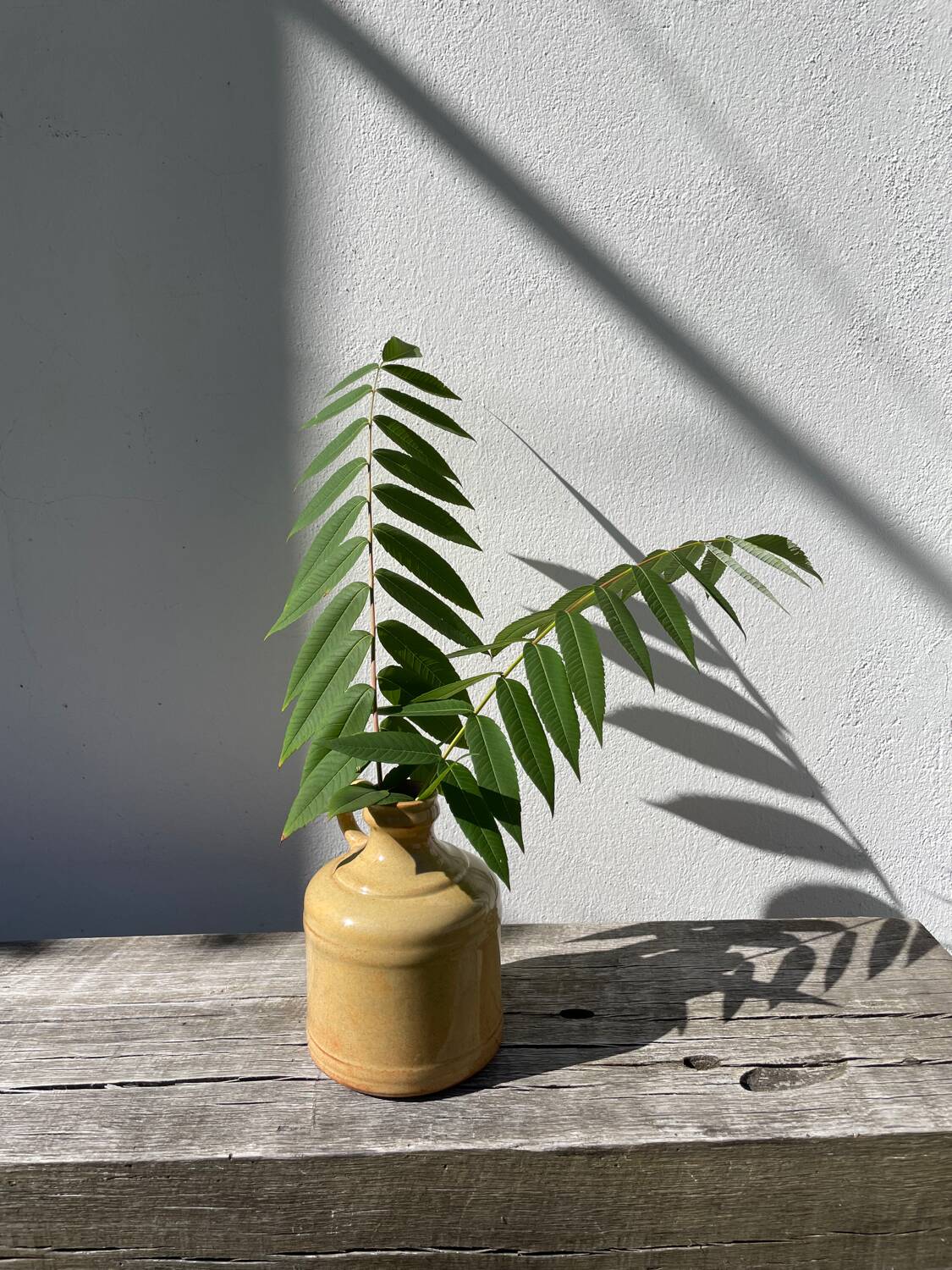 Antique glazed terracotta jug vase