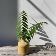 Antique glazed terracotta jug vase