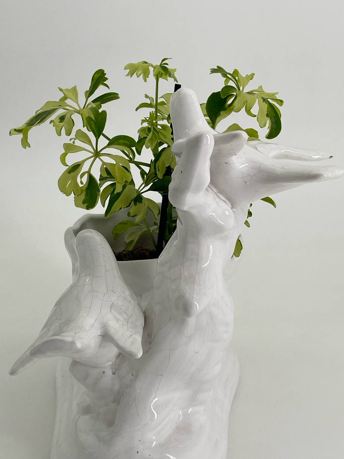 Vintage white porcelain dove planter