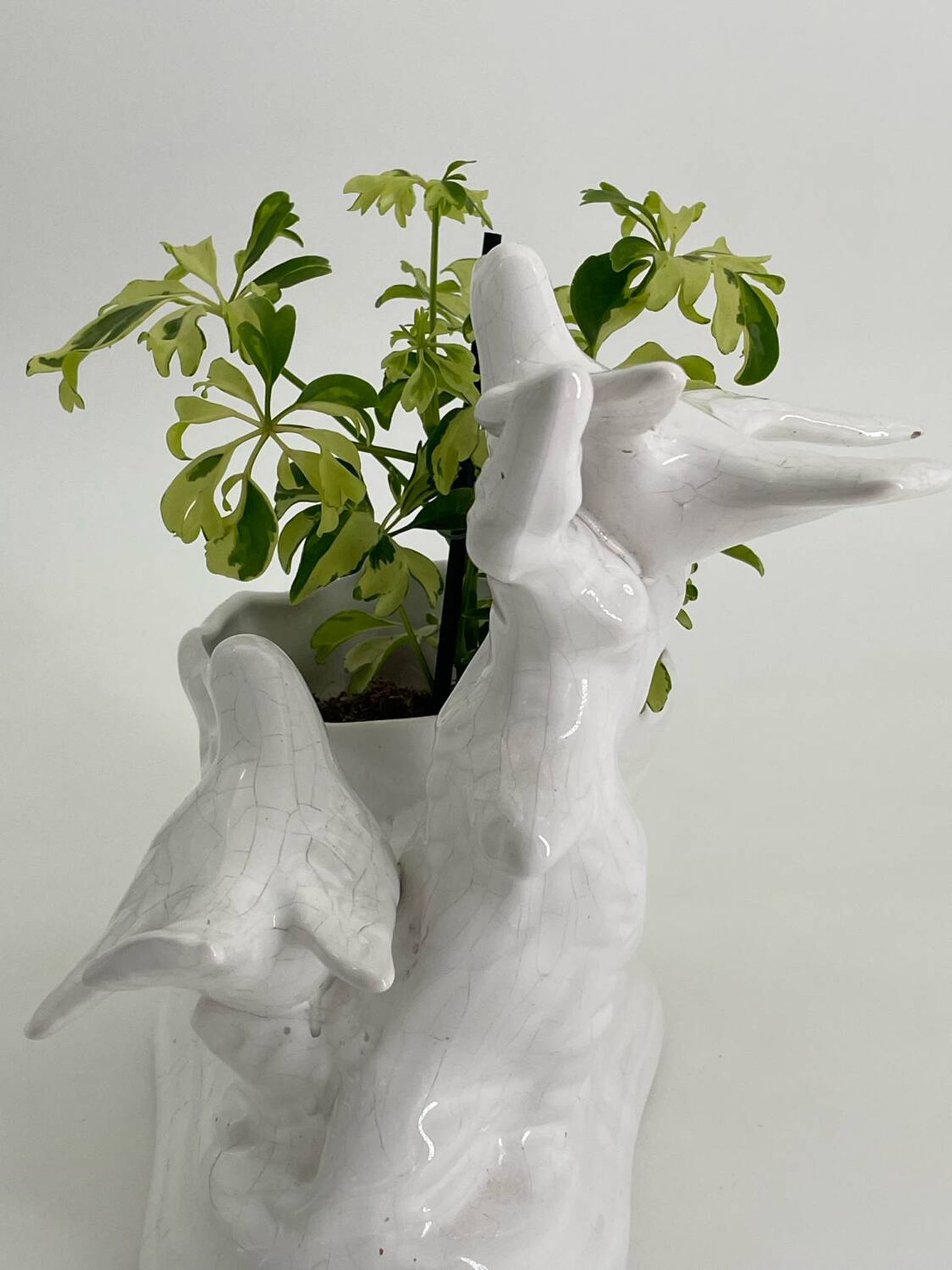 Vintage white porcelain dove planter