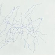 Drawing 21X29.7 made and signed by the Italian artist Maria Chiara Re. 2022.