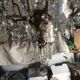 Crystal chandelier