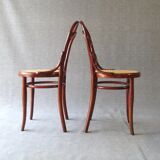 Set of 5 Thonet chairs N°14 1/2 circa 1910 perfect cannages