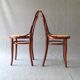 Set de 5 chaises Thonet N°14 1/2 vers 1910 cannages