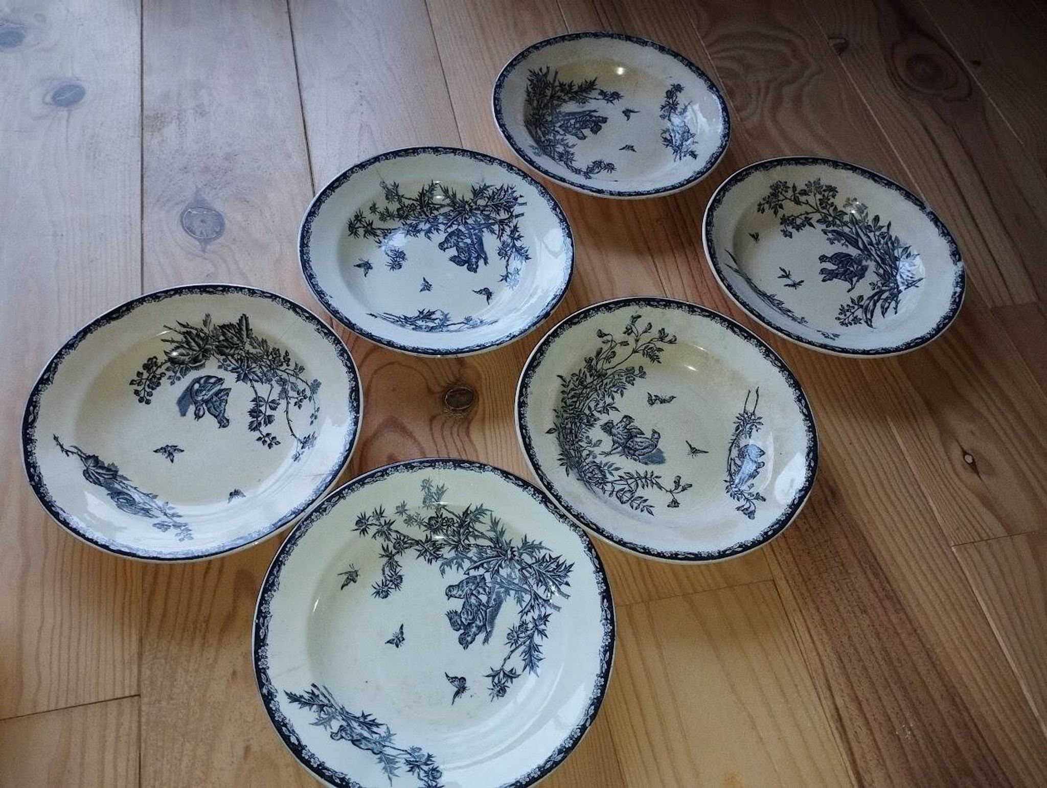 Deep Plates "Terre de Fer – The Chicks" (6 pieces)