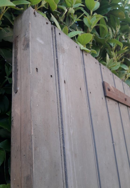 Wooden barn cellar or outbuilding door