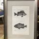 Fish engraving