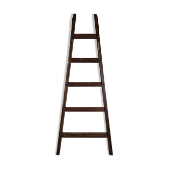 Old wooden farm ladder