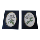 Set of 2 old frames with oval decoration floral flowers medallion style
