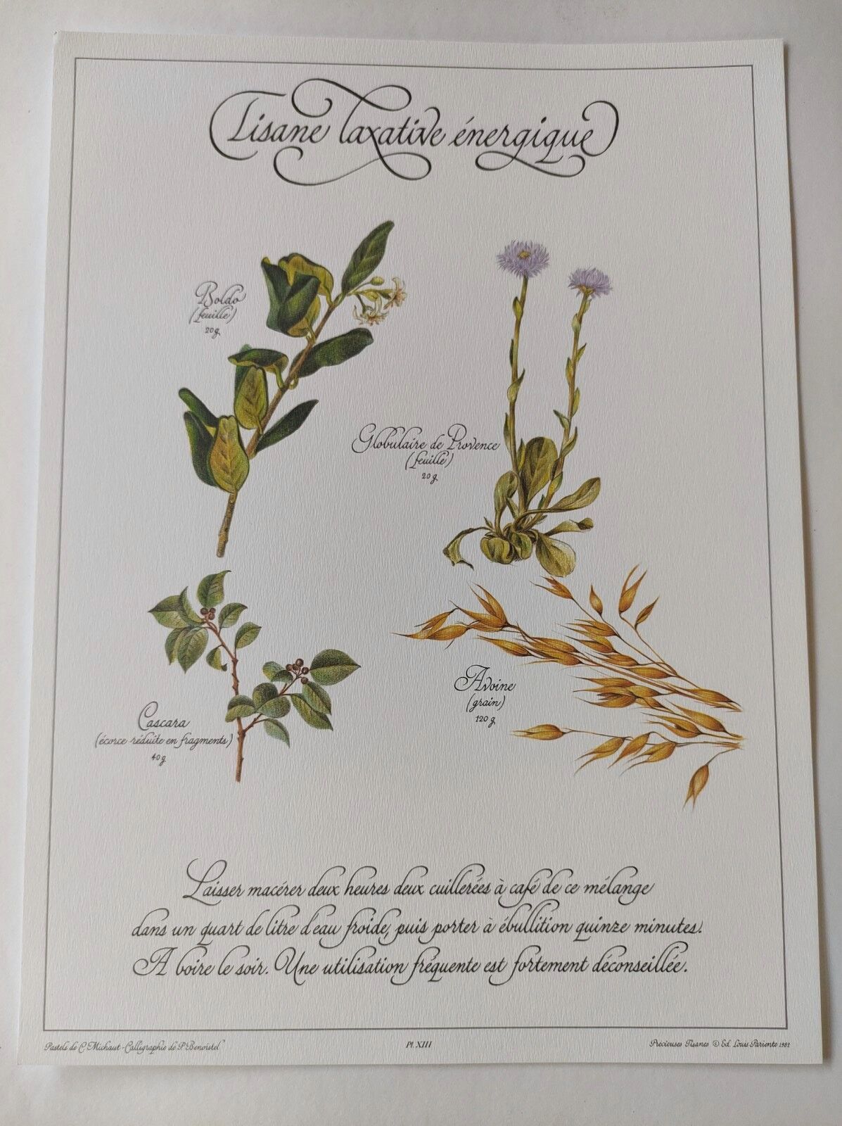 Engraving medicinal plants -Energetic laxative herbal tea- Botanical illustration