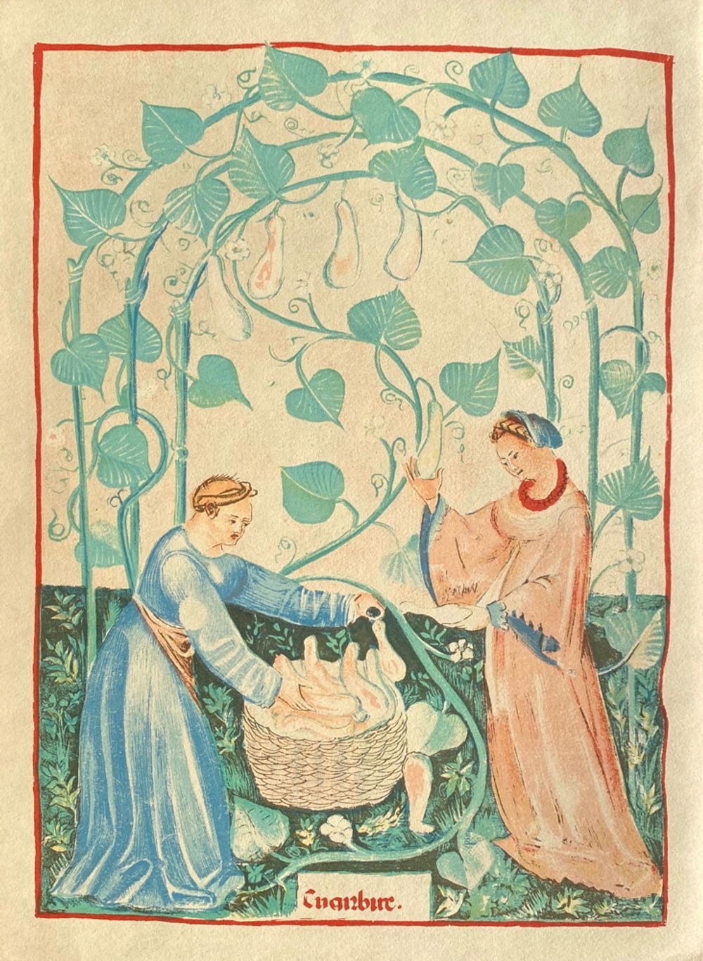Lithographie vintage la cueillette des fruits