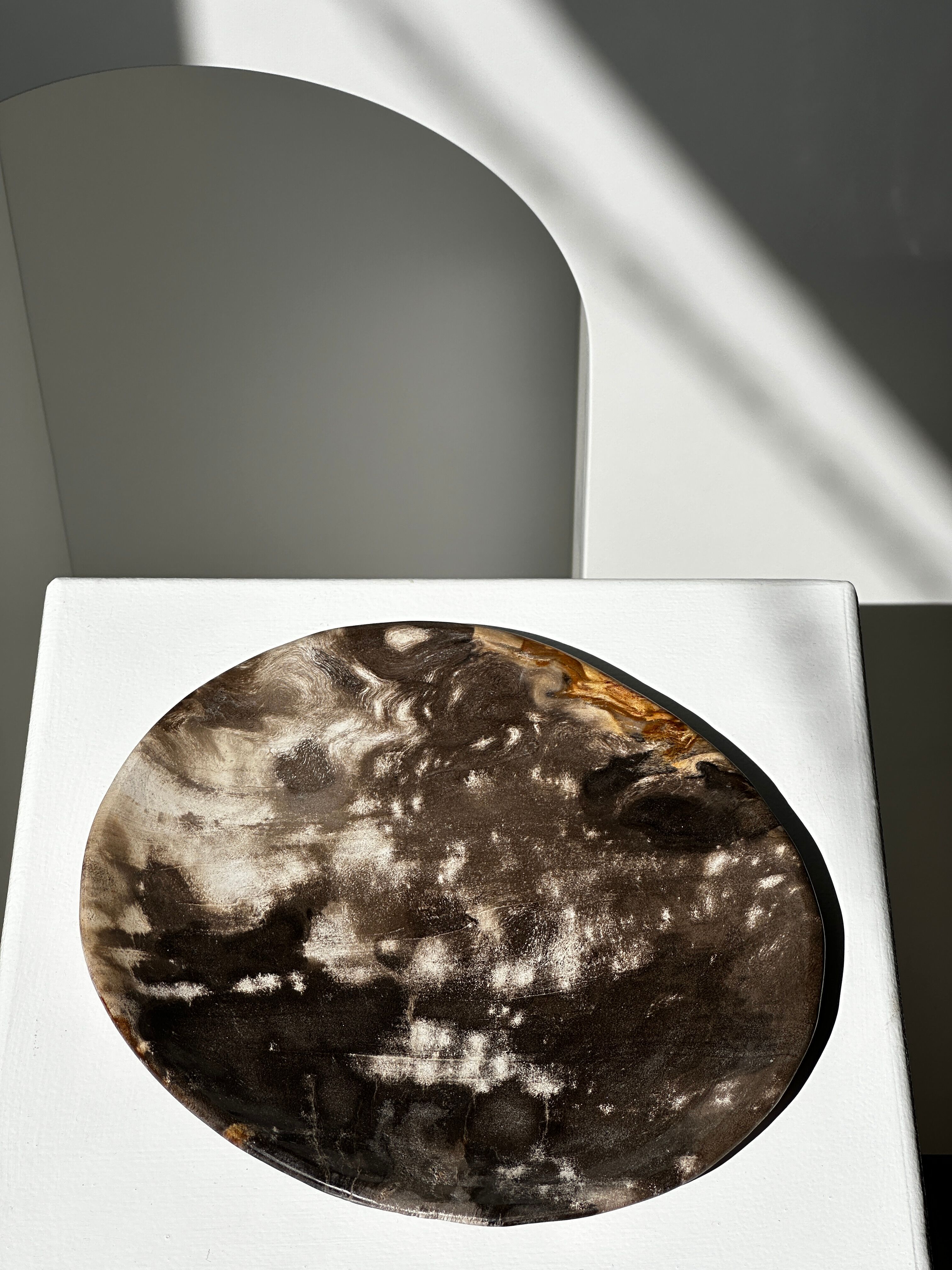 Dish in petrified wood