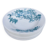 Set of 9 hollow plates Terre de Fer, Floréal model