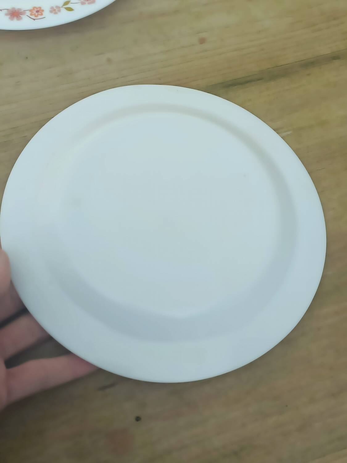 10 vintage Scania dessert plates