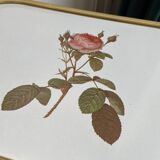 Golden trolley on wheels