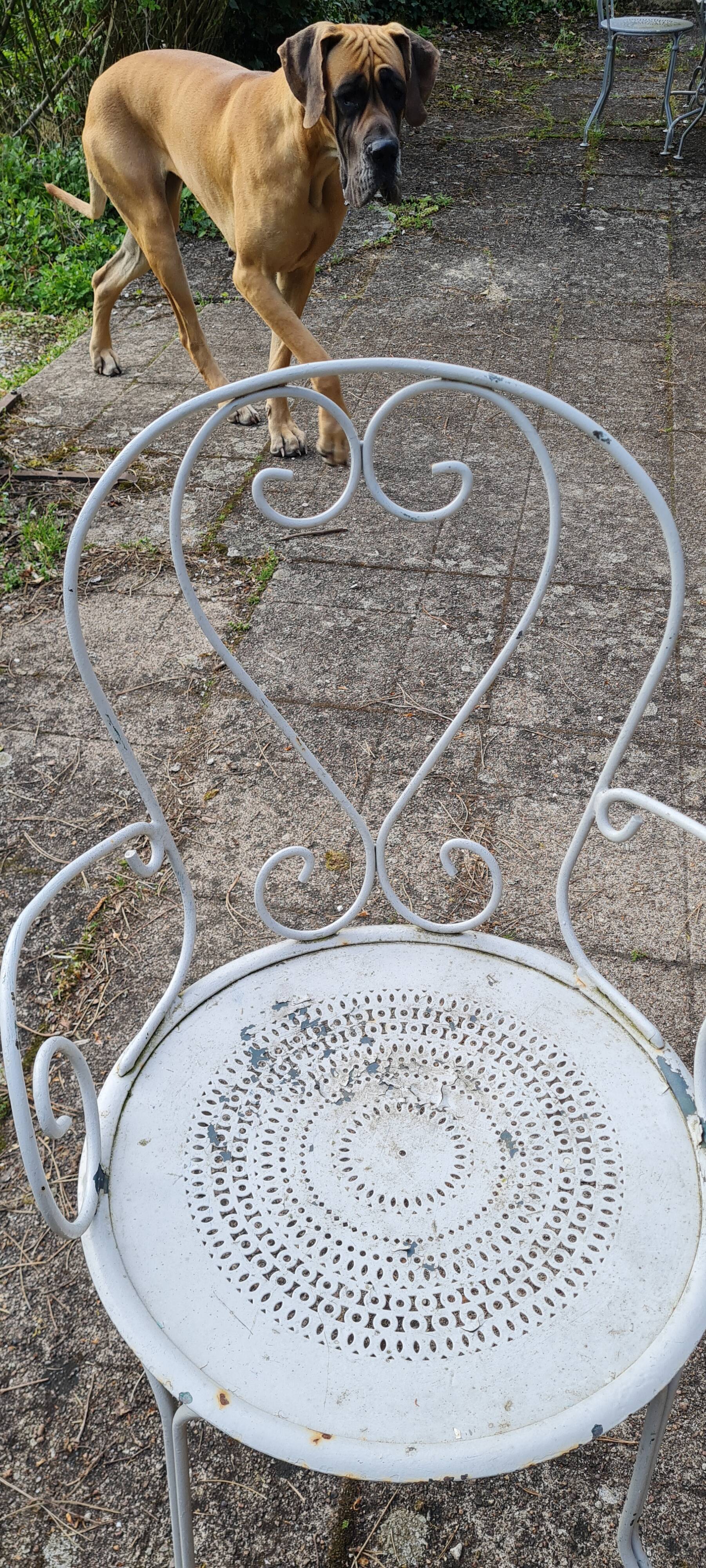 Wrought iron garden furniture