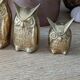 Owls in vintage brass trio