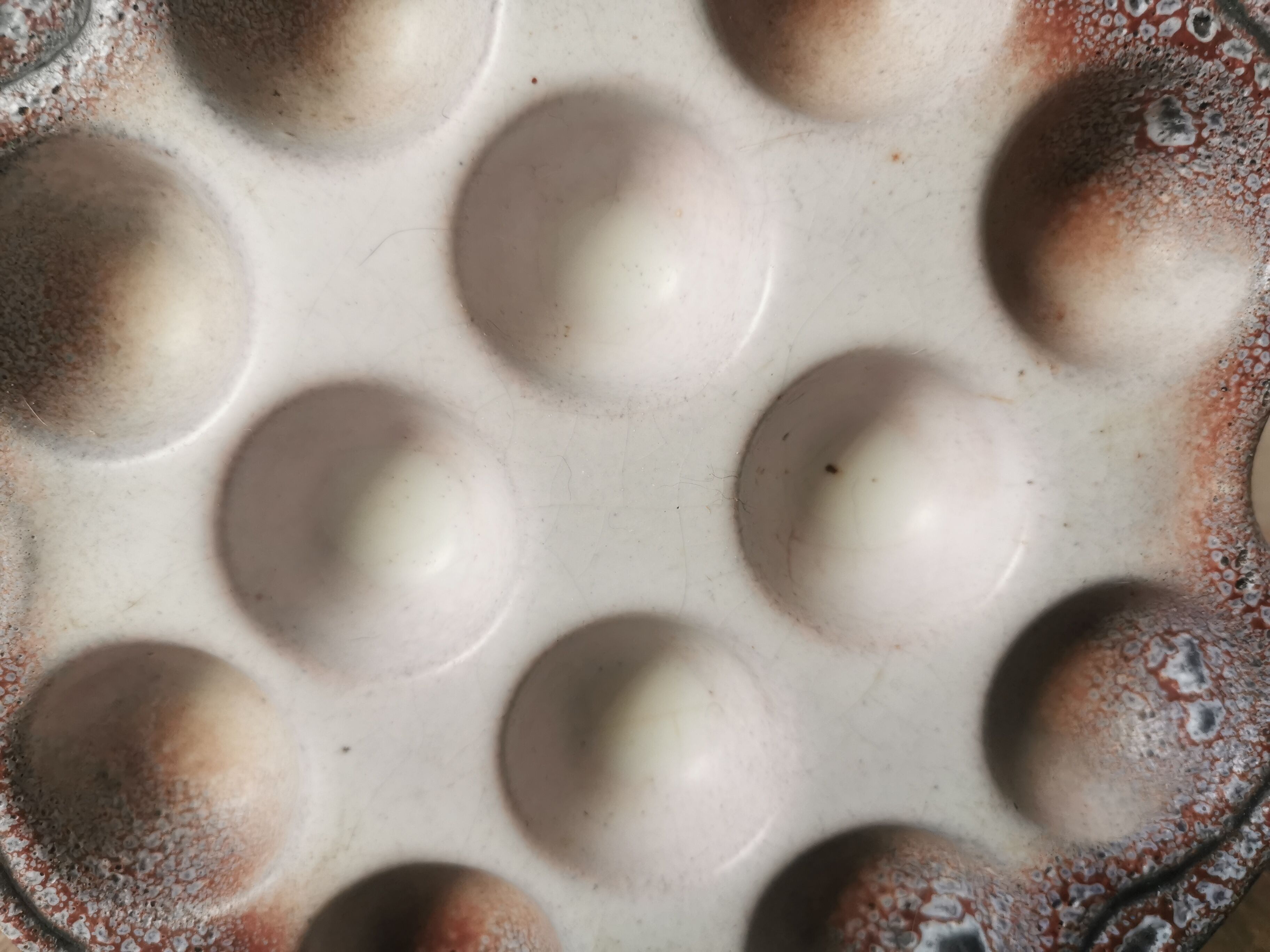 6 glazed ceramic snail plates