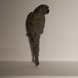 Decorative cast iron parrot
