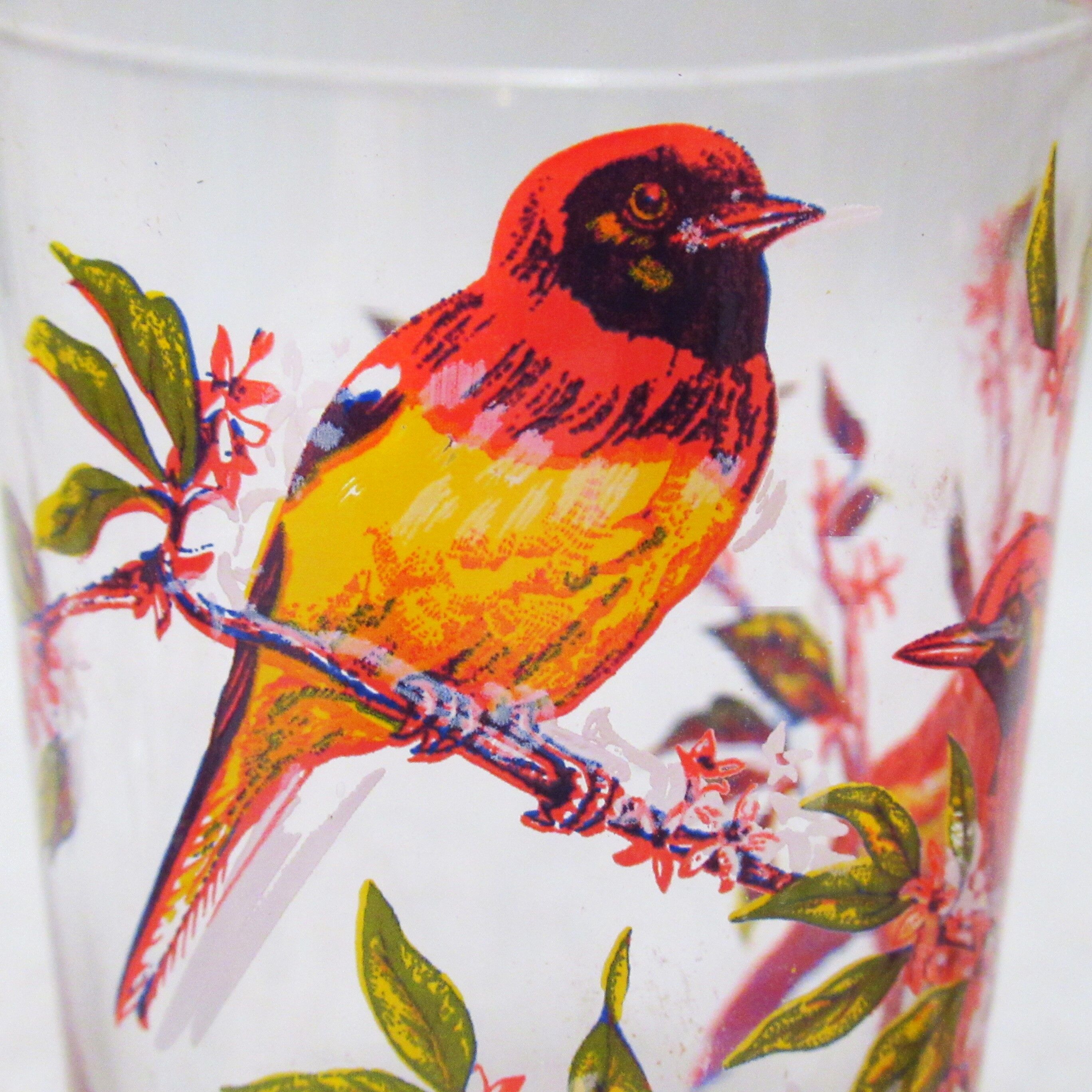 Set of six cups birds 50s