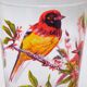 Lot de six gobelets oiseaux années 50