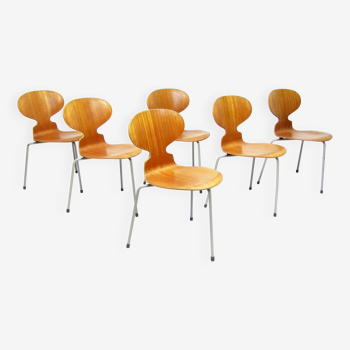 Six Ant Chairs in Teak by Arne Jacobsen for Fritz Hansen