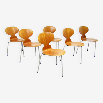 Six Chaises Ant en Teck par Arne Jacobsen pour Fritz Hansen