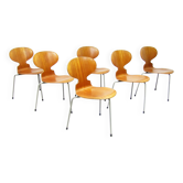 Six Chaises Ant en Teck par Arne Jacobsen pour Fritz Hansen