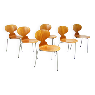 Six Chaises Ant en Teck par Arne Jacobsen pour Fritz Hansen