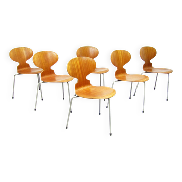 Six Ant Chairs in Teak by Arne Jacobsen for Fritz Hansen