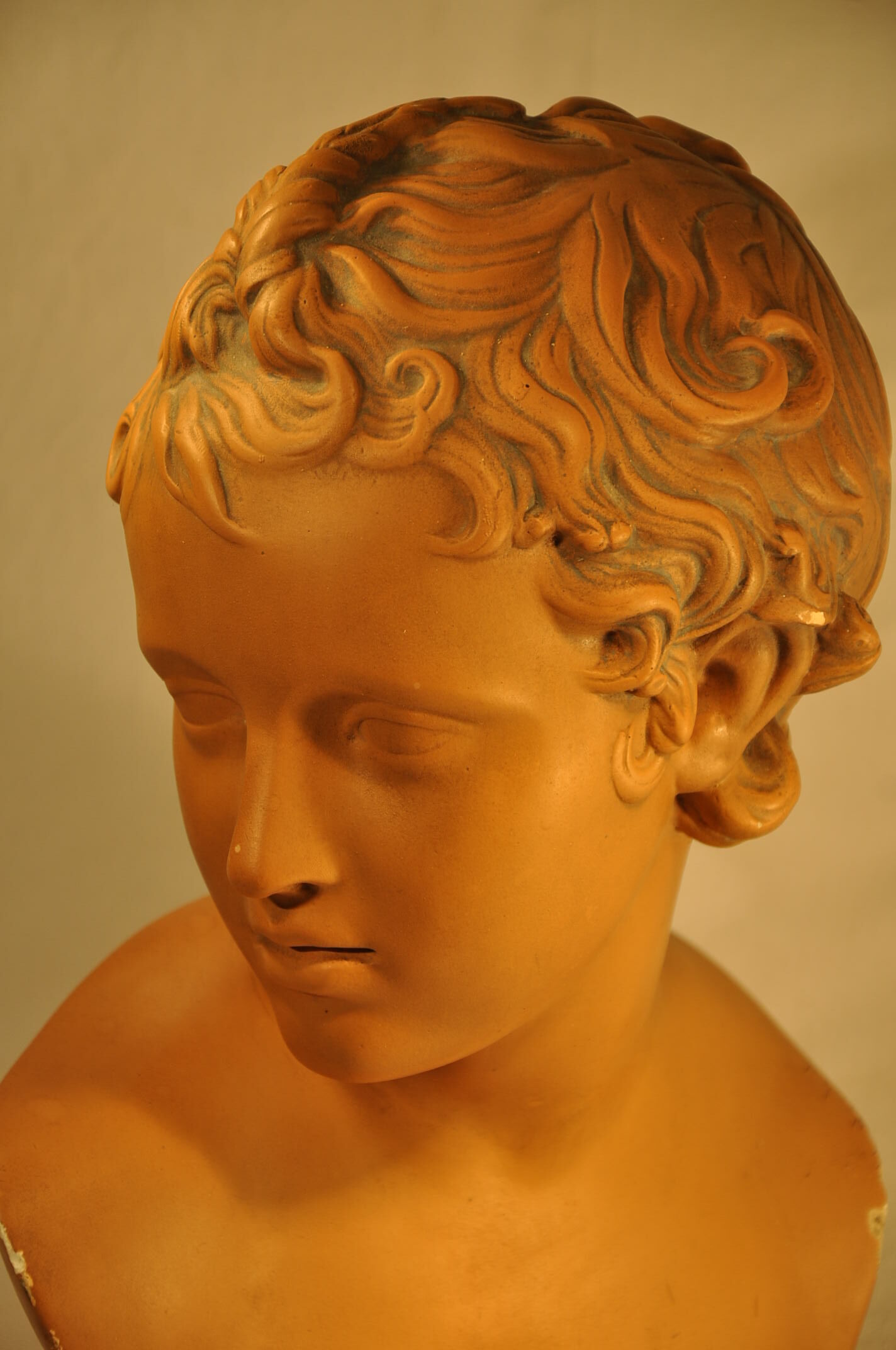 Plaster cherub bust