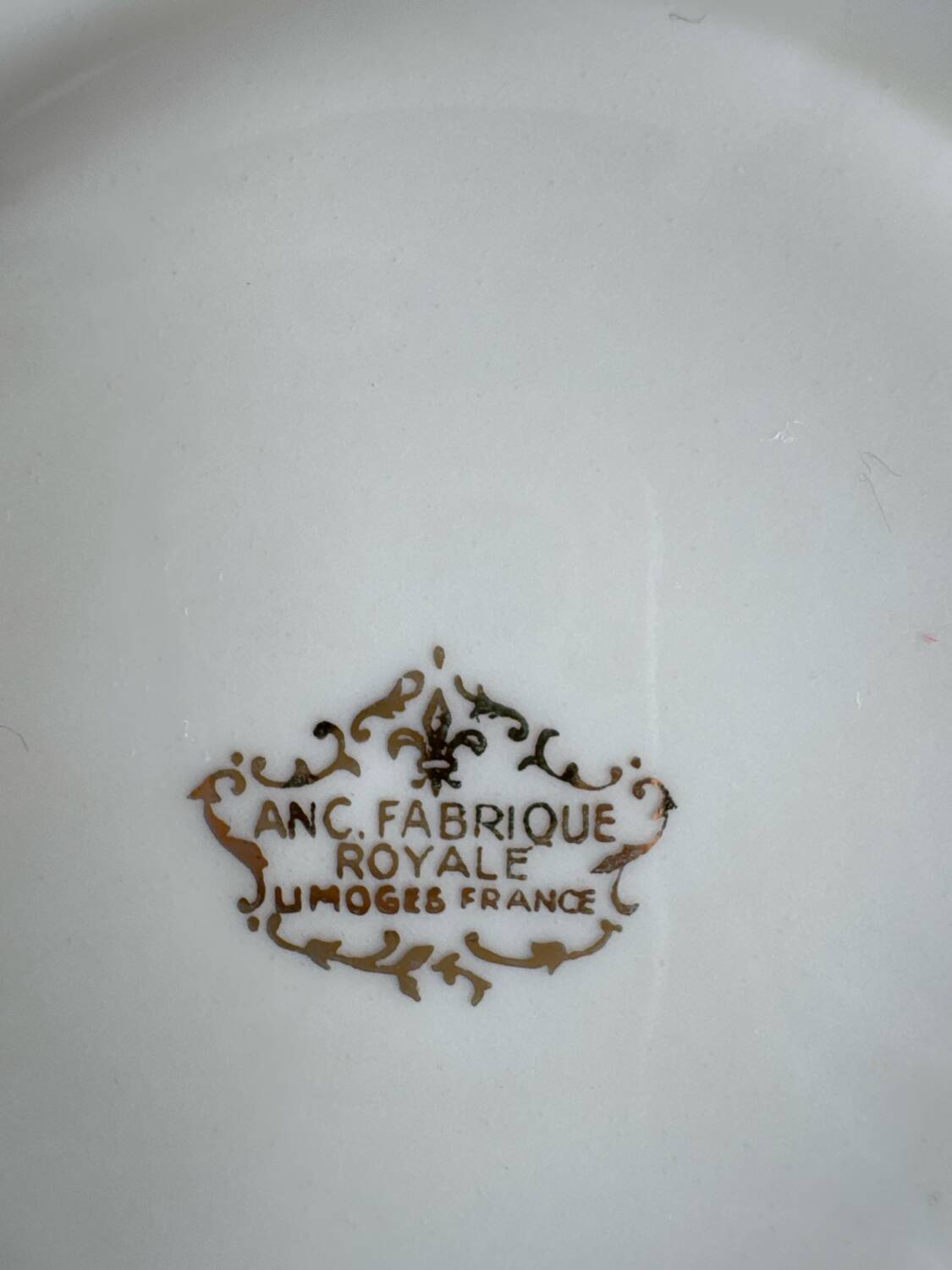 Set of 6 Limoges porcelain plates